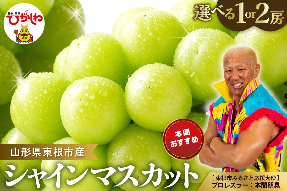 
                  【2026年産】≪選べる内容量≫ ぶどう「シャインマスカット」【1房・2房】 山形県 東根市 hi003-152-o
                