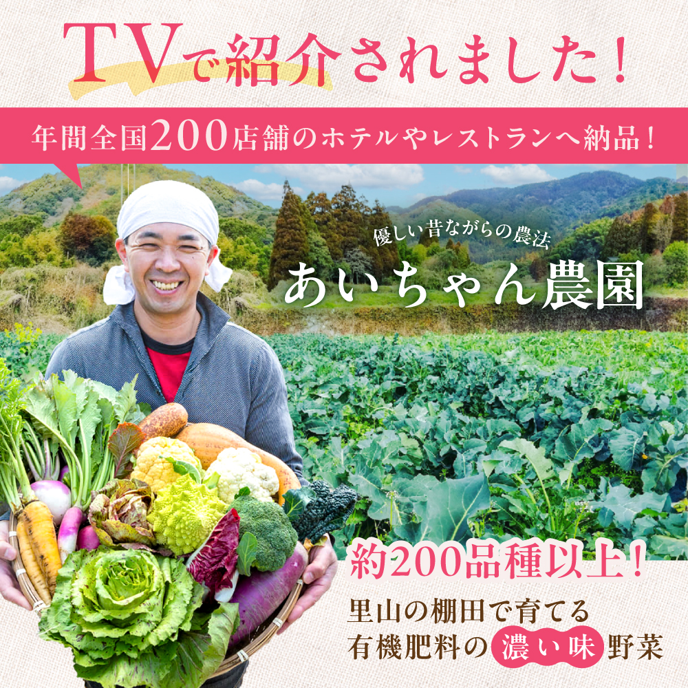 【12品 / 12回定期便】農薬に頼らない！カラダにやさしい「よしのがり野菜」セット（レギュラー）【吉野ヶ里あいちゃん農園】 [FAA006]
