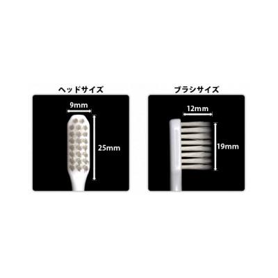 ふるさと納税 泉佐野市 GReeeeN 3列超極細毛歯ブラシSIRO navi ふつう 6本セット 010B562 |  | 02