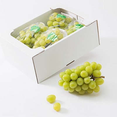 【2025年度発送分】早起き農家の直送便　わけありシャインマスカット2kg