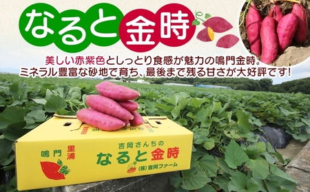 【予約受付中・2026年10月頃より順次発送】「吉岡さんちのなると金時」 Lサイズ 2kg