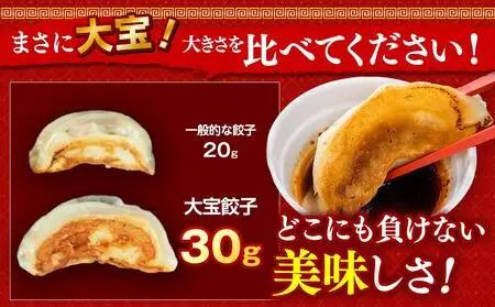 【父の日当日にお届け】横浜大宝餃子 もちもち国産ジャンボ大宝餃子90個（30個×3） 父の日ギフト AKN0004-F