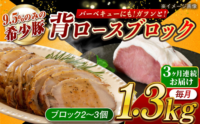 
            【月1回約1.3kg×3回定期便】大西海SPF豚 背ロースブロック 計約3.9kg 長崎県/長崎県農協直販 [42ZZAA089]
          