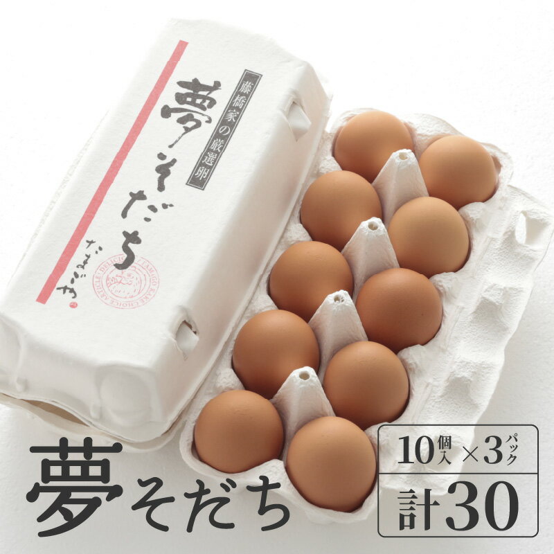 【ふるさと納税】 夢そだちおすそ分けセット 10個入×3パック ( 30個入 ) 【 卵 たまご 玉子 タマゴ 生卵 食材 グルメ 新鮮 夢そだち たまごかけごはん 殿堂入り 日本産 国産 】