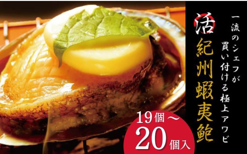 
極上！やわコリ食感紀州の蝦夷アワビ【19～20個入】 / ※北海道・沖縄・離島への配送不可 / 鮑 アワビ あわび 人気 活アワビ 冷蔵 【riz120】
