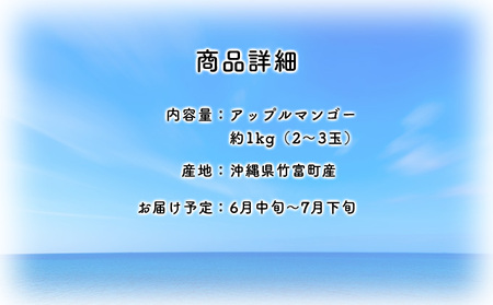 2024年 先行予約 アップルマンゴー 約1kg 2～3玉 セット 八重山マンゴー品評会総合1位を計3回獲得！高糖度保証！農園ファイミール 濃厚 果物 フルーツ