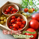 【ふるさと納税】旬の トマト てんこ盛りセット　pf-011国内産 野菜 ポモナファーム