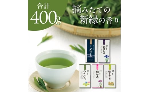 旬の香りを飲み比べ 5種の新茶 満喫セット 合計400g　2026年5月より順次発送＜39537＞【1637484】