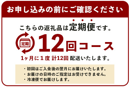 【 定期便 12回 】 熊本県 馬スジ 1㎏（ 500g×2 ） × 12回 【 合計 12kg 】 馬肉 すじ肉 大容量 本場 熊本県 馬 赤身 煮込み カレー シチュー 冷凍 真空 熊本 肥育 ヘ