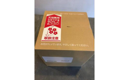 季節の花弁当（生花アレンジメント）ボックスフラワー CH01-FN