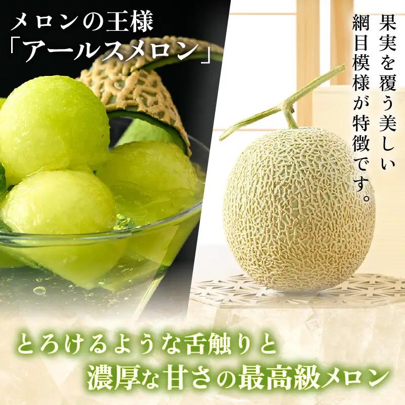 【先行予約】秋 アールスメロン 2玉（約1.6kg以上×2玉）青肉品種 高級メロン！ ／ マスクメロン 大玉 果物 フルーツ ギフト 農家直送 ※2026年9月中旬以降発送  [aw065-a009]