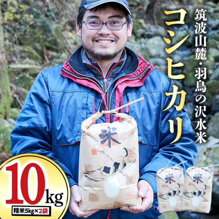 【ふるさと納税】令和7年産 筑波山麓 羽鳥 の 沢水米 コシヒカリ 10kg 米 お米 コメ 精米 白米 桜川市 茨城県