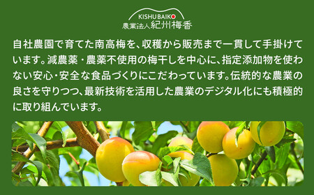 無農薬栽培 無添加 減塩 梅干し 訳アリつぶれ梅 約1kg(500gパック×2個) 塩分3% N3-G［KU2］