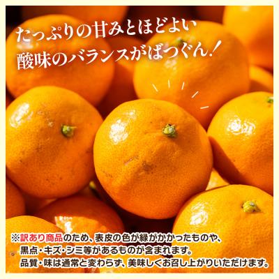 ふるさと納税 香南市 【2回定期便】露地みかん(2S〜Mサイズ) 5kg 家庭用 丸萬農園 Wmn-0017 |  | 01