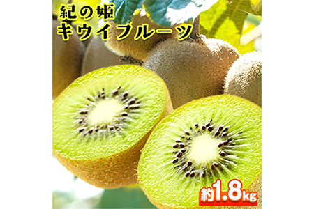 和歌山県紀の川市産 紀の姫キウイフルーツ約1.8kg【サイズお任せ/秀品】 紀の川市厳選館 《2025年1月上旬-4月中頃出荷》 和歌山県 紀の川市 果物 フルーツ キウイ 紀の姫