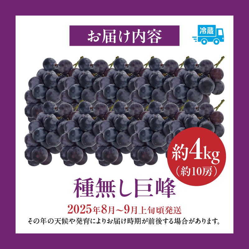 種無し巨峰 約4kg（約10房） 2025年 先行予約 種なしぶどう ［098O04］_イメージ5