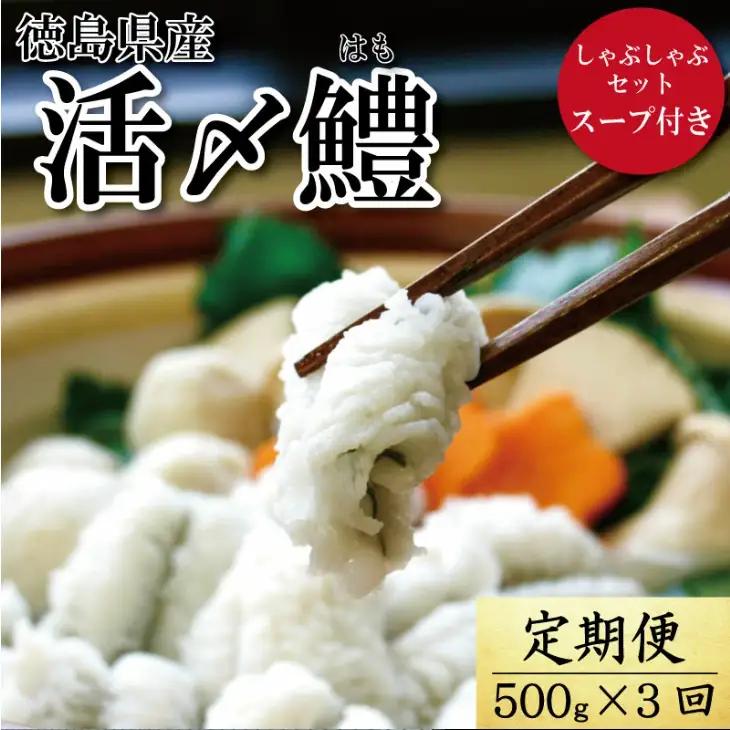 ハモしゃぶ セット 定期便 500g×3回 3ヶ月 小松島産 鱧 ハモ