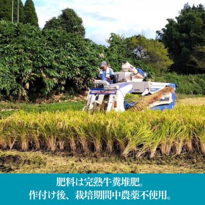 ふるさと納税 産山村 【令和7年産新米】池山水源の清流で育てた幸せ米　いのちの壱　白米(2kg×2袋) |  | 02