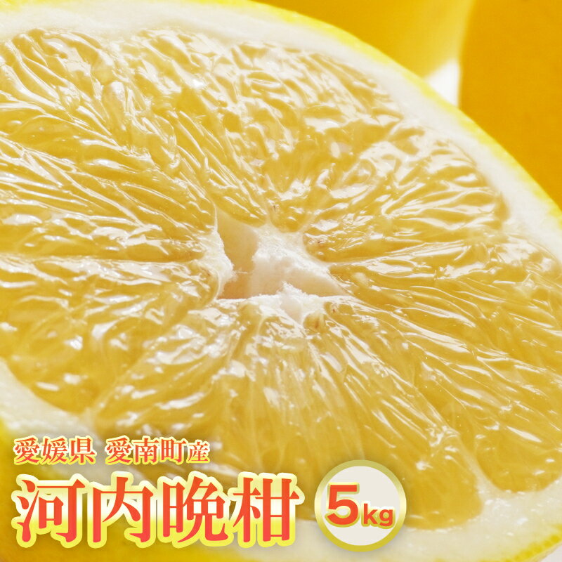 【ふるさと納税】 河内晩柑 約5kg 晩柑 かわちばんかん 柑橘 和製 グレープフルーツ 国産 愛媛 みかん 果物 果実 フルーツ 特産品 有名 フルーツ アイランド マルエム 直販 おいしい ビタミン 生産者 産地 直送 産直 お届け：2025年6月1日〜8月上旬 (なくなり次第終了)
