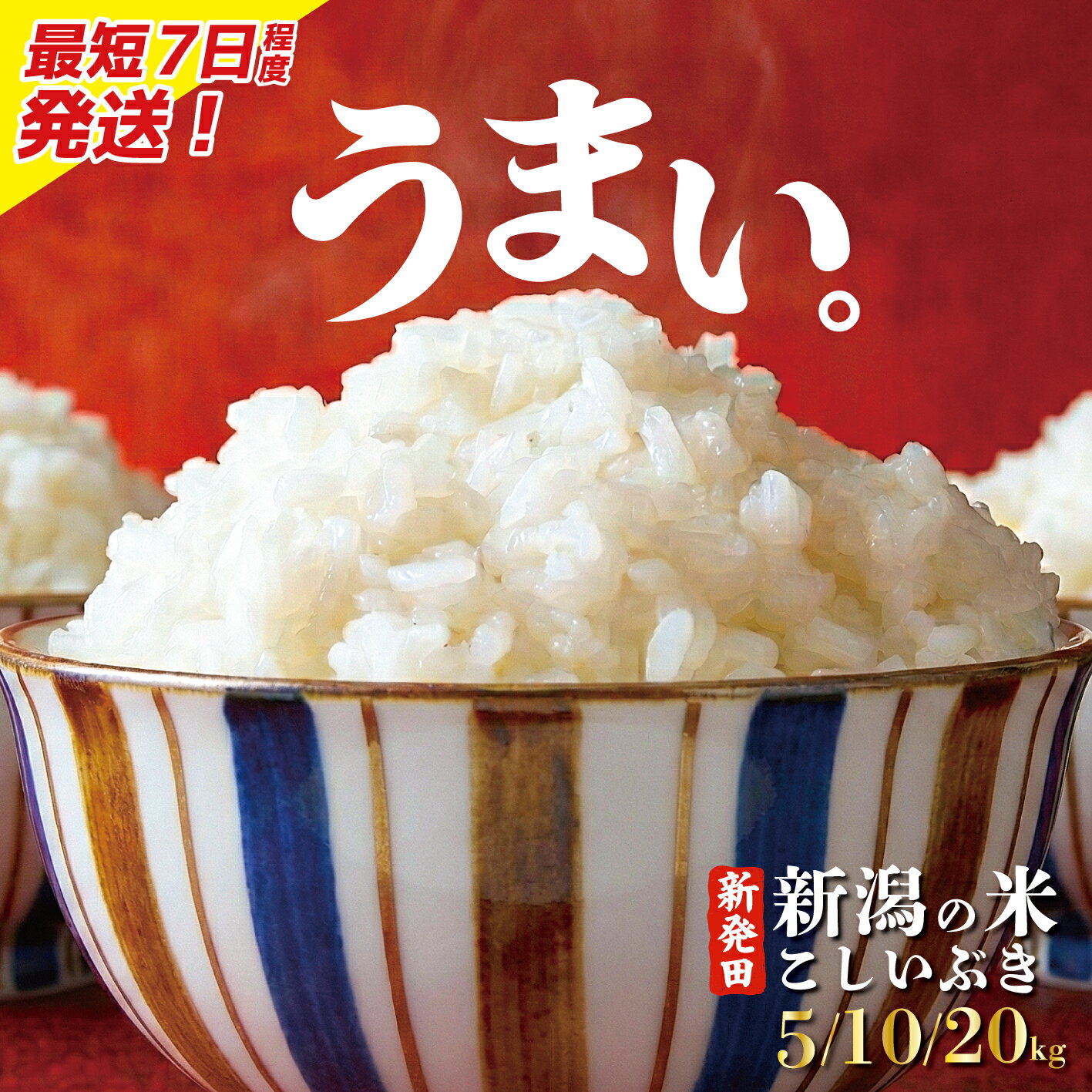 【ふるさと納税】 最短7日発送 こしいぶき 5kg 10kg 20kg 選べる コシヒカリ の遺伝子を引き継ぐ 令和7年産 こしひかり ご飯 備蓄 コメ お米 米 こめ しんまい 新潟産 新潟米 新潟県 新潟 新発田 新発田市 国産 新発田市産 斗伸