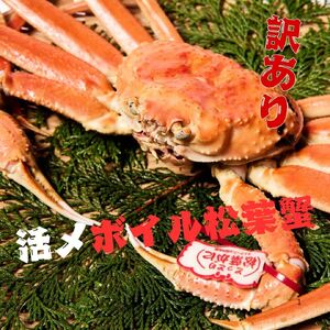 【訳あり】活〆ボイル松葉蟹　700g前後 カニ専門店マルツ 先行受付 M12　1187