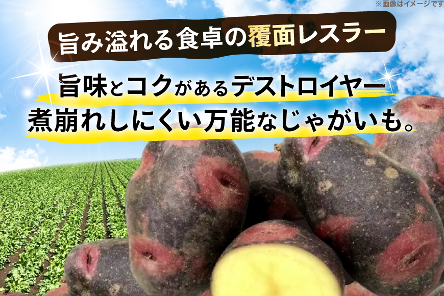 じゃがいも デストロイヤー 5kg [けんぶちVIVAマルシェ 北海道 剣淵町 14656393] ジャガイモ 芋 いも ポテト 野菜 秋野菜 秋 常備野菜 カレー シチュー ポテトサラダ 肉じゃが