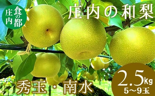 
            食の都庄内　庄内の和梨【秀玉・南水】約2.5kg※9月中旬ごろより順次配送
          