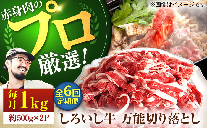 
            【牧場直送】【6回定期便】佐賀県産 しろいし牛 万能 切落し 1kg（500g×2パック）【佐賀セントラル牧場】佐賀県産 肉 お肉 牛肉 切り落とし 国産 和牛 きりおとし 大容量 冷凍 九州 佐賀県 白石町 [IAH134]
          