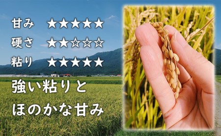 【令和5年度新米】北海道 富良野産 おぼろづき 減農薬 10kg 新米 米 (山本農園) お米 ご飯 ごはん 白米 定期 送料無料 北海道 富良野市 道産 直送 ふらの
