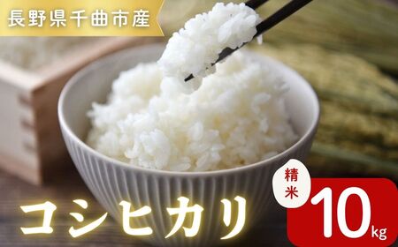 令和7年産コシヒカリ精米10kg｜ コシヒカリ ご飯 白米 千曲市 長野県 信州