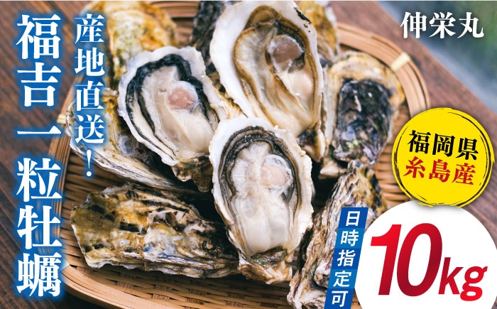 
                  【加熱用】一粒牡蠣 カキ 10kg (牡蠣ナイフ付き) 糸島産 福吉 糸島市/伸栄丸 カキの佐々木 牡蠣  殻付き カキ   [ATH004]
                
