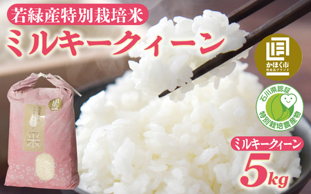 【先行予約】ミルキークイーン 5kg【2026年11月発送】/ 新米 令和8年産 白米 精米