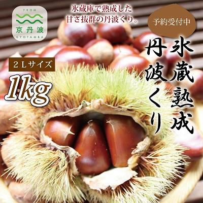 ふるさと納税 京丹波町 京丹波町岩崎農園の「ぽろたん」1kg　氷蔵熟成栗　京丹波町産 丹波栗