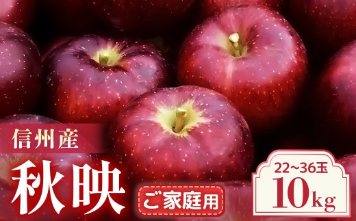 【2026年9月～10月発送予定】りんご　秋映　約10kg（22～36玉）ご家庭用　林檎｜リンゴ｜果物｜フルーツ｜長野県産｜南信州