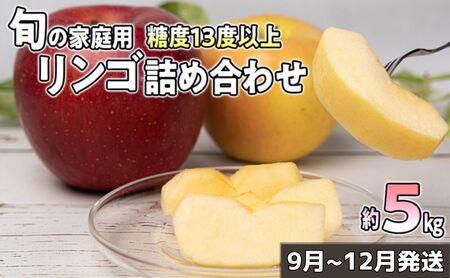 9月～12月発送 家庭用 旬のリンゴ詰め合わせ 約5kg 糖度13度以上【弘前市産・青森りんご 果物類 林檎  】