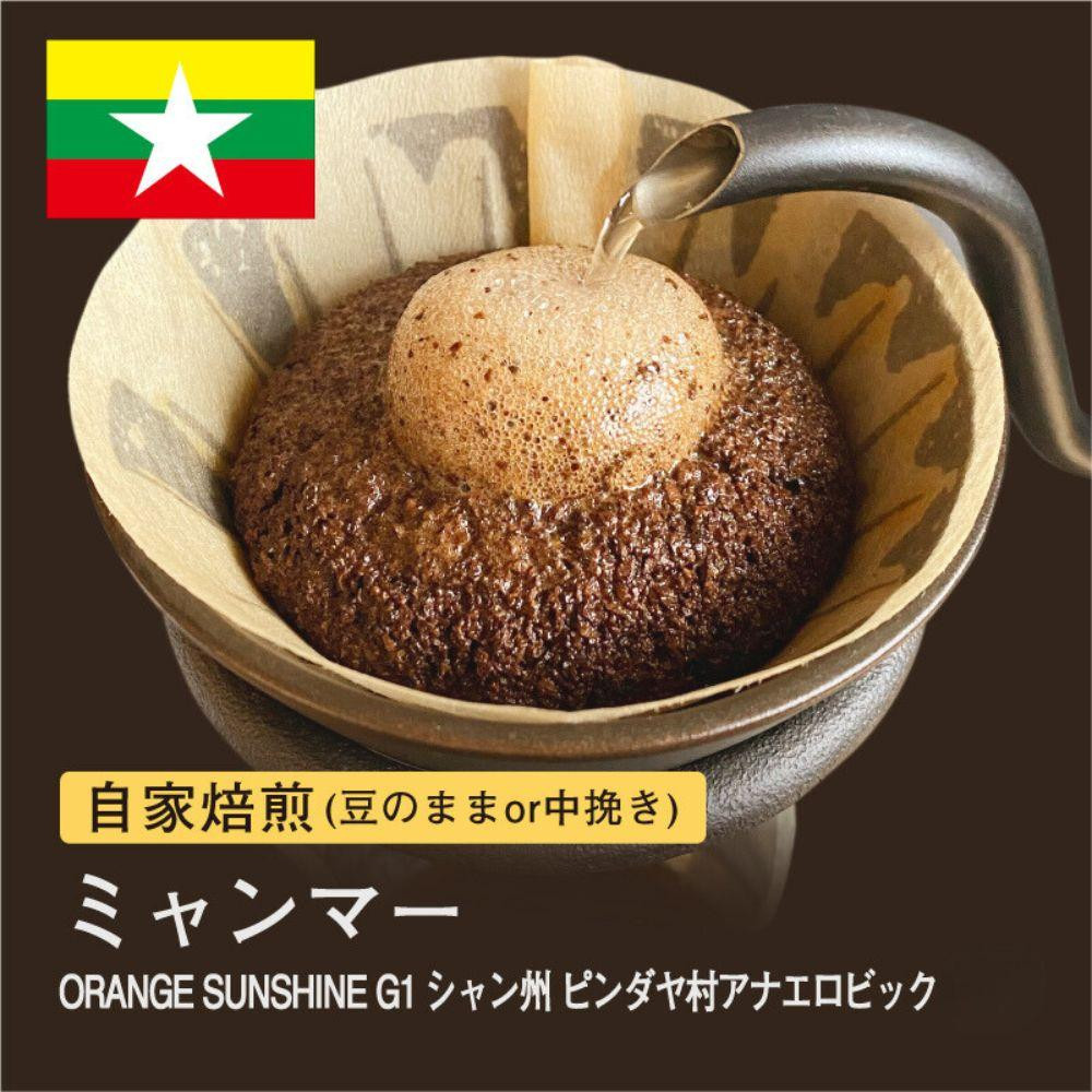 
自家焙煎コーヒー！ #180 310g ミャンマー ORANGE SUNSHINEG1 シャン州 ピンダヤ村 珈琲（豆または中挽きから選択）
