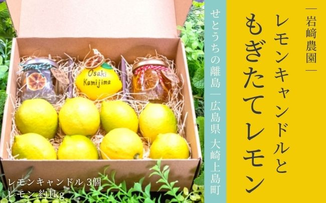 
[1〜3月発送] 大崎上島産 プレゼントにおすすめ！レモン&キャンドルのギフトセット
