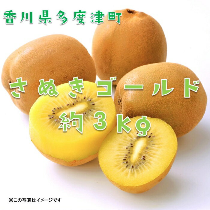 【ふるさと納税】香川県オリジナルキウイフルーツ『さぬきゴールド』約3kg【予約受付中！令和7年10月中旬頃から発送】〔提供：株式会社ことひら街道〕しあわせ製麺 甘い 期間限定 大きい