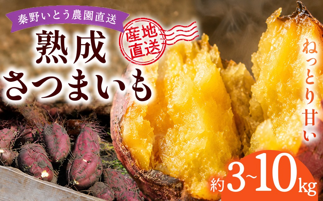 
                  【産地直送】ねっとり甘い 熟成さつまいも 約3kg〜10kg（10月〜1月発送）｜季節限定 旬 農園 直送 生果実 冷蔵  完熟 健康 神奈川 秦野 
                