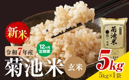 【12ヶ月定期便】熊本県産 菊池米 玄米 5kg 1袋5kg 米 お米 令和7年産 九州産 熊本県産  送料無料《お申込み翌月に出荷予定》玄米 米