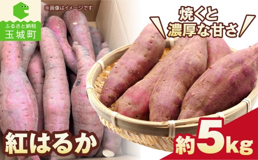 【先行予約】紅はるか さつまいも 約5kg 芋 いも サツマイモ 紅はるか 焼き芋 甘い ねっとり 旬 野菜 三重県 玉城町【2026年11月上旬～2027年3月上旬頃まで順次発送予定】