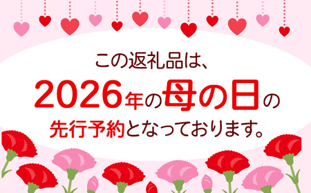 花 母の日 サンクスママ フラワーアレンジメント 1個 椿原園《2025年5月上旬-5月末頃出荷》椿原園 お花 花 ギフト 贈答 プレゼント インテリア 先行予約