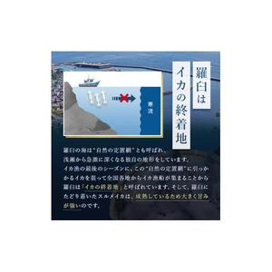 知床羅臼産するめいか一夜干し（1枚 250g 前後）8枚セット｜いか　北海道