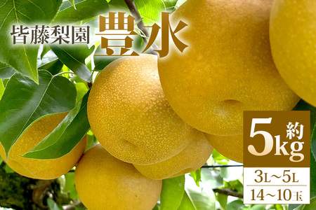【皆藤梨園】梨 豊水（約5kg/3L～5L/14～10玉）【8月下旬以降発送予定】 75-B