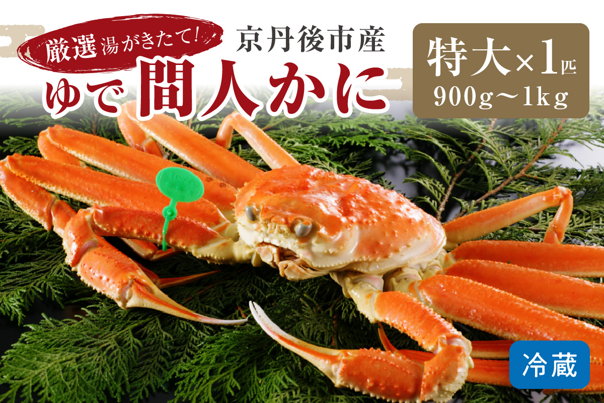かに卸問屋がお届け・自社釜ゆで！幻のゆで間人ガニ 900ｇ～1ｋｇ 特大サイズ（1月～3月発送）／北畿水産 HK00222