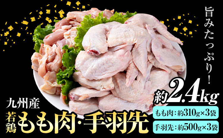 
            九州産 若鶏もも肉(約310g×3袋)・手羽先セット(約500g×3袋) 合計約2.4kg 《30日以内に出荷予定(土日祝除く)》
          