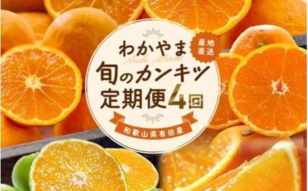 【全4回】和歌山旬のカンキツ定期便【M】3・5・9・11月発送（ご家庭用）※北海道・沖縄県・離島への配送不可 / 春の柑橘 初夏の柑橘 青切り 有田みかん 完熟有田みかん フルーツ くだもの 果物【ard-tkb906】