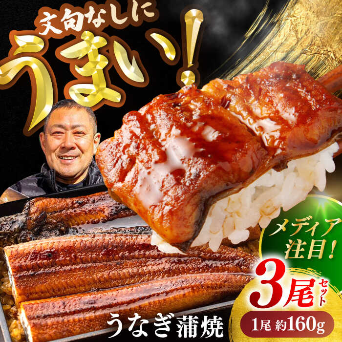 【ふるさと納税】高知県産 うなぎ 長蒲焼3尾 約160g×3 (3〜6人前)/ 鰻 ウナギ 土用丑の日 高知産 うなぎ 【土佐黒潮水産】[ATCQ010]