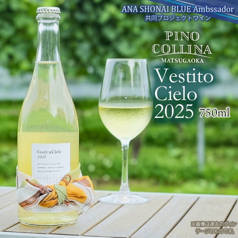 【ふるさと納税】 Vestito Cielo（ベスティート シエロ）2025 白ワイン 750ml　ピノ・コッリーナ　株式会社エルサン