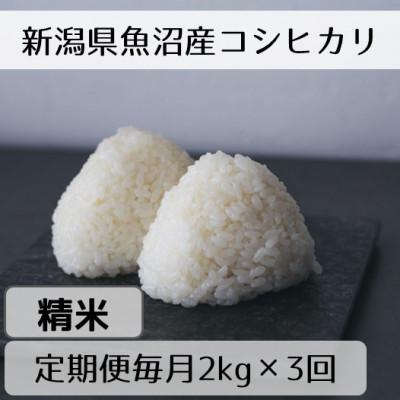 ふるさと納税 十日町市 【毎月定期便】新潟県魚沼産コシヒカリ「山清水米」精米2kg全3回